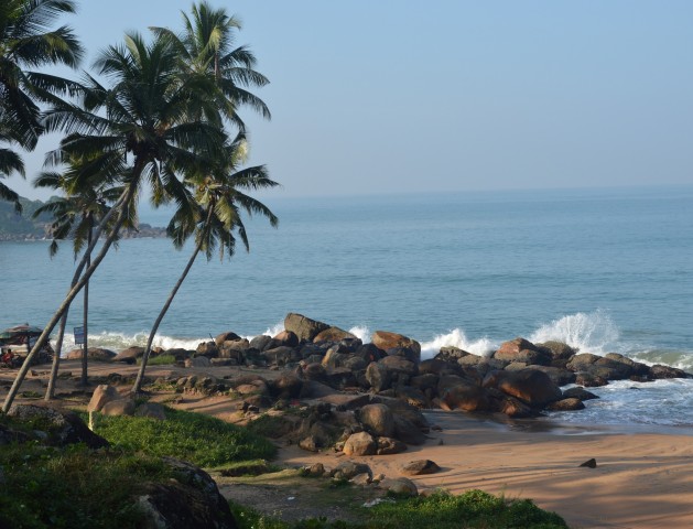 delightful-holiday-in-kerala-with-family